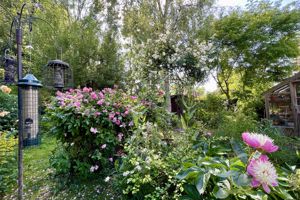 Photo 5- click for photo gallery